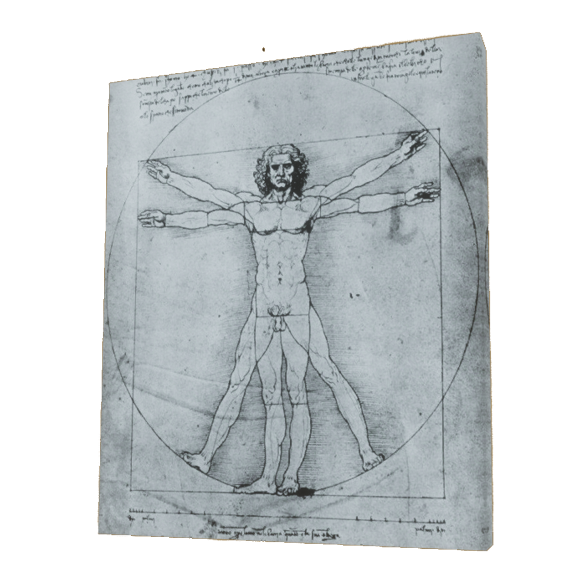 The Vitruvian Man - Painting, Art