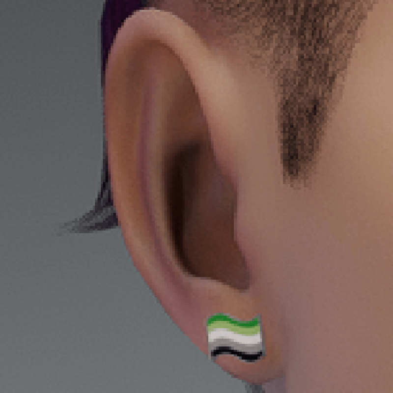 pride earrings aromantic