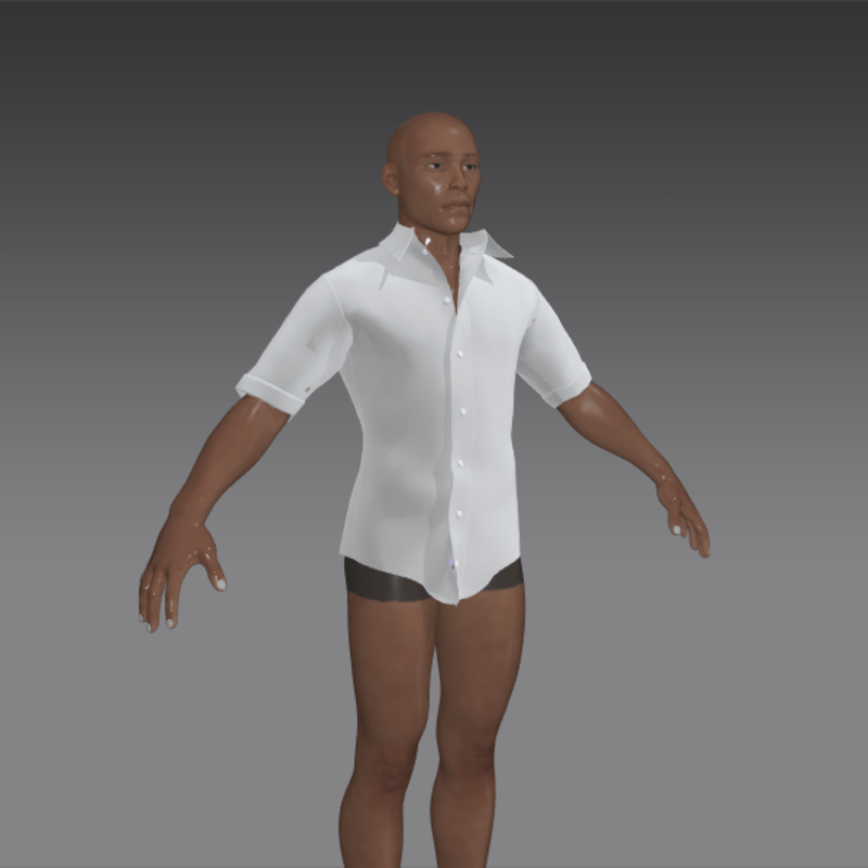 white cotton batiste shirt