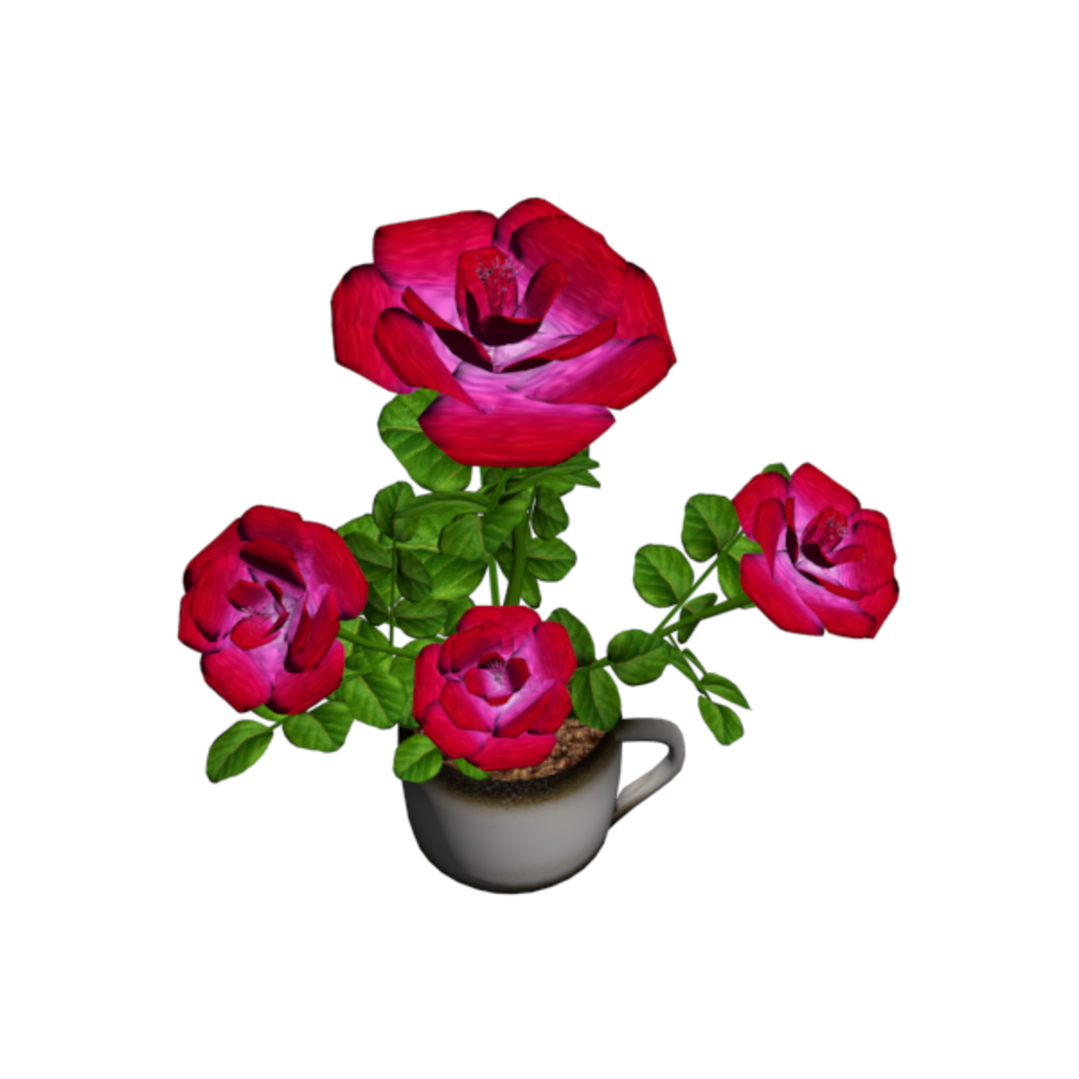 Roses in Coffee Cup - Pink
