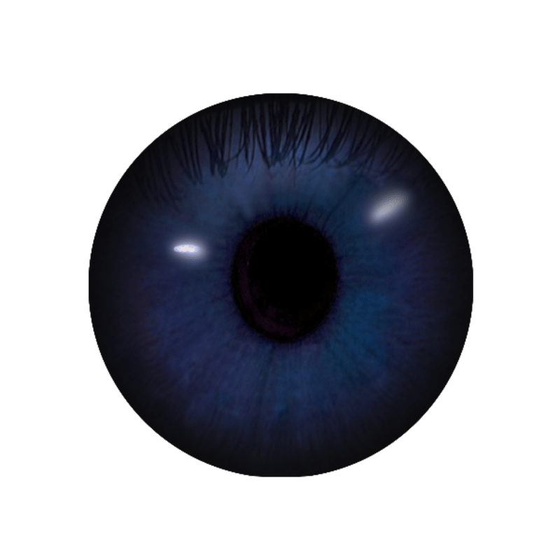 Contact Lenses (female) - Dark Blue