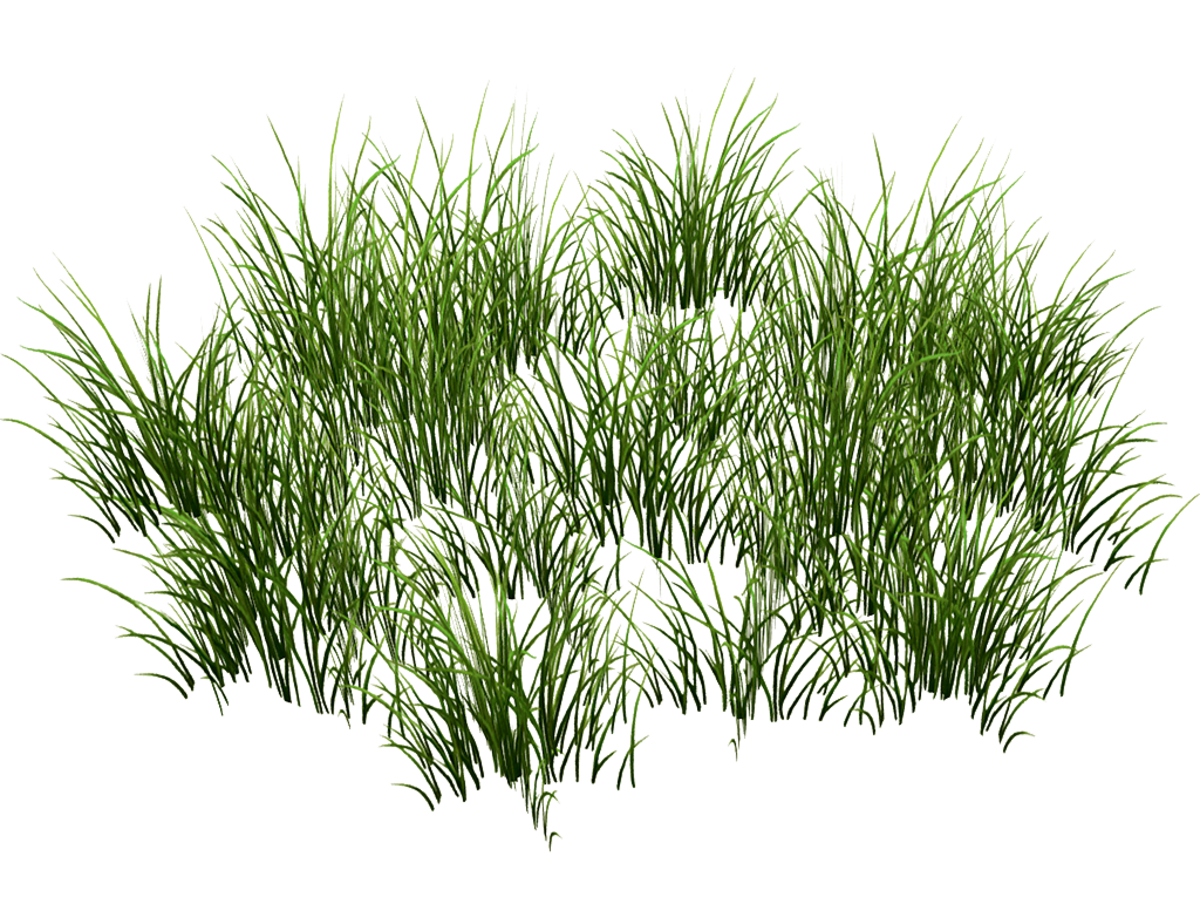 Grass Patch Round v2