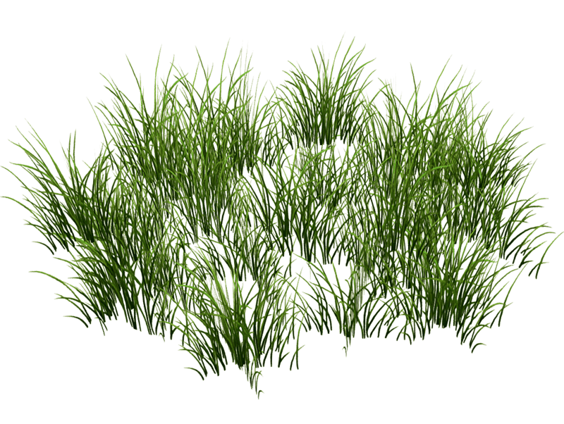 Grass Patch Round v2