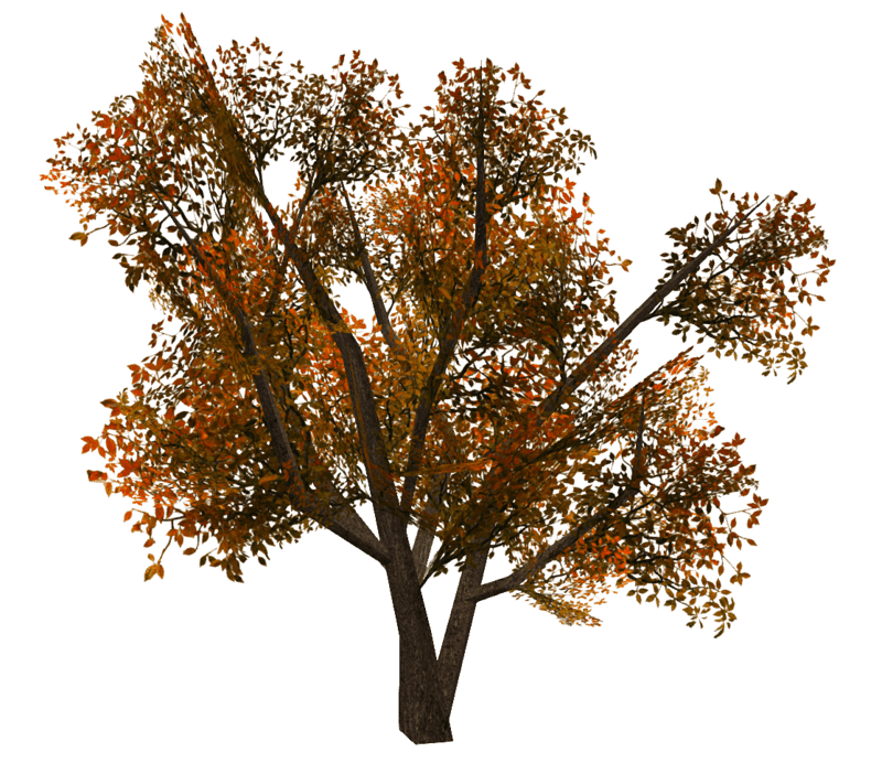 Tree 4 - Copper