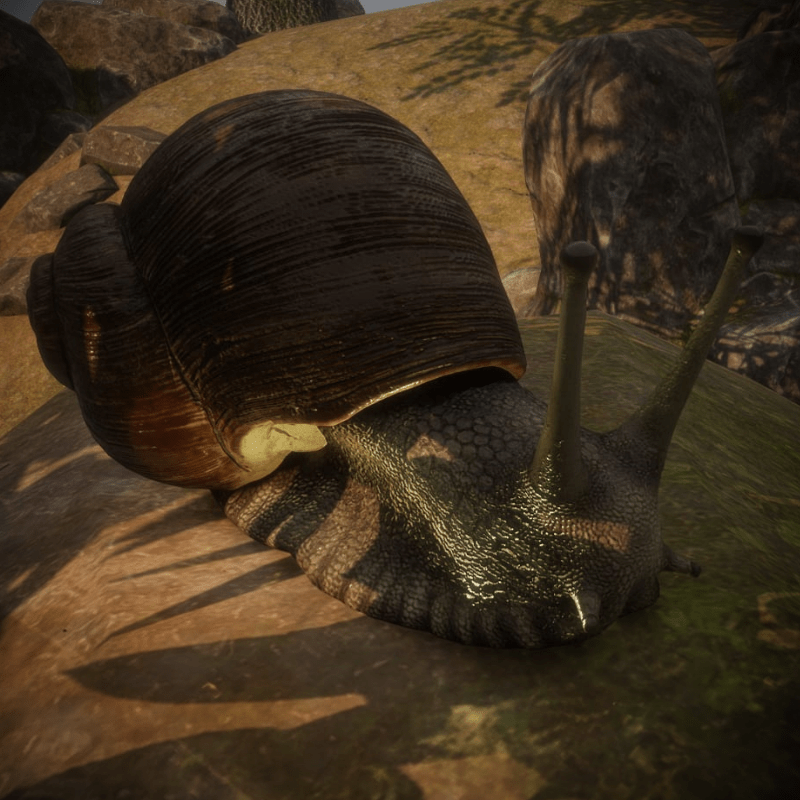 schnecke_sansar_3dpaint