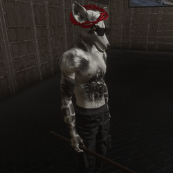 Cool Opossom Avatar