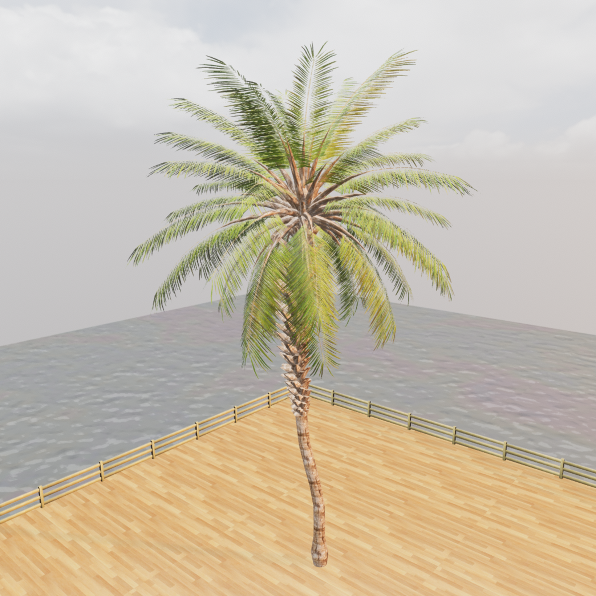 Palm Tree - Beach Tropical