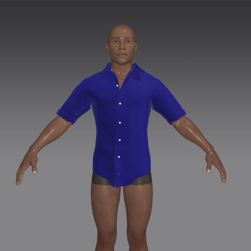 blue cotton batiste shirt