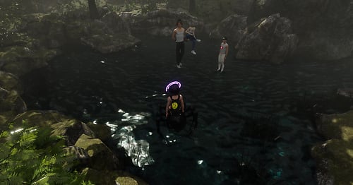 Skye Naturae Virtualis