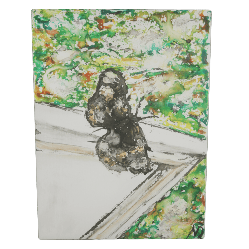 Canvas 9 - butterfly