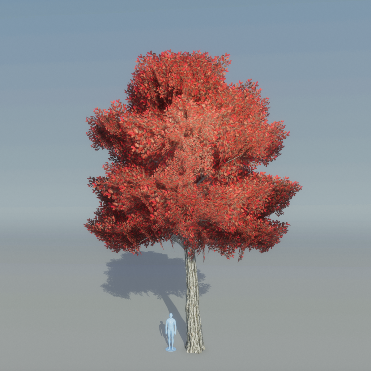 Oak Tree 4 (red)