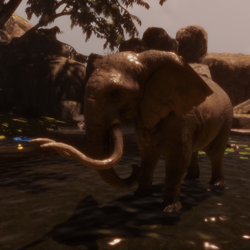 Elephant Animation Idle tex