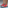 SNEAKERS_ JML 21 RED WHITE  V2  EMISSIVE