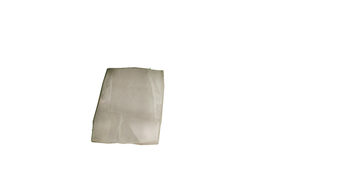 Stepping Stone Path v 2