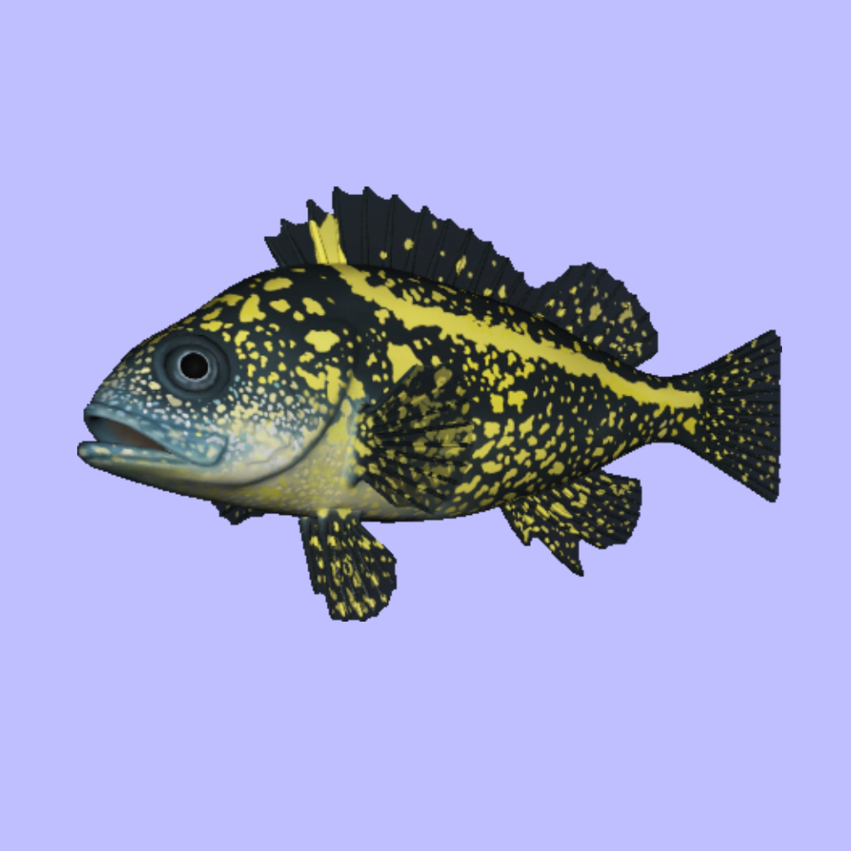 Rockfish China Animated