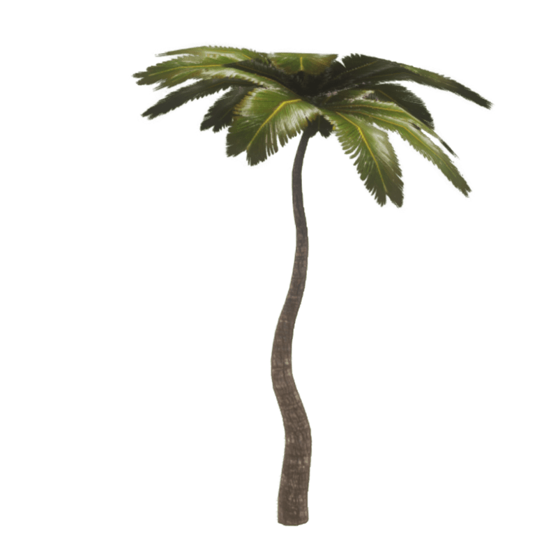 Tropical palm no1
