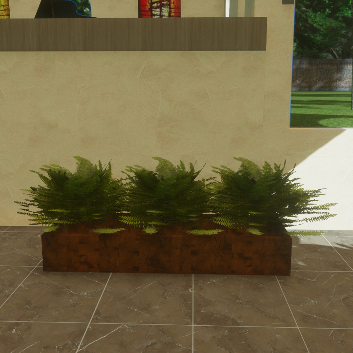 Boston Fern Plant Box Large