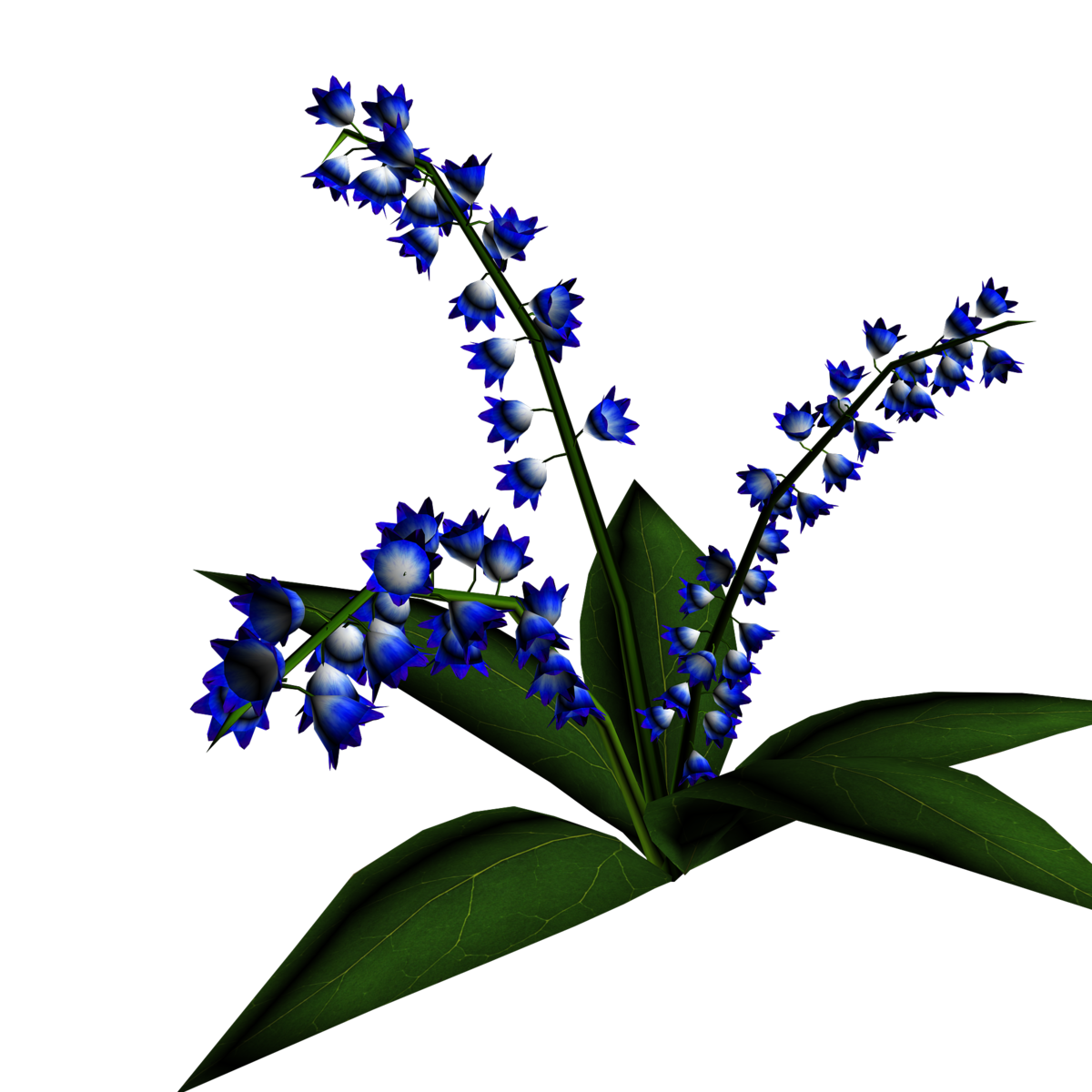 Lily of Valley Plant 9