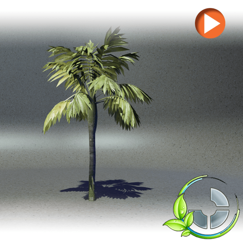 Animated Palmtree2 (Desert Style)