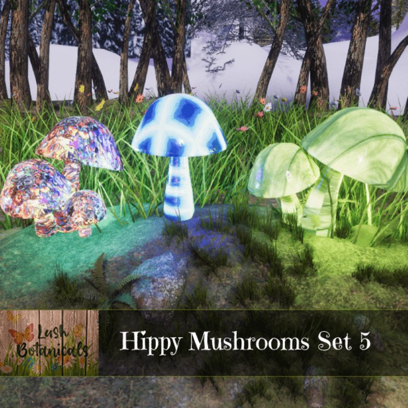 Hippy Mushroom Set 5