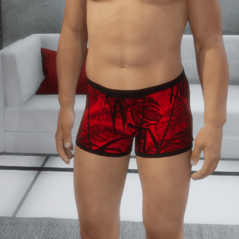 Boxer Briefs Rocky Pattern red