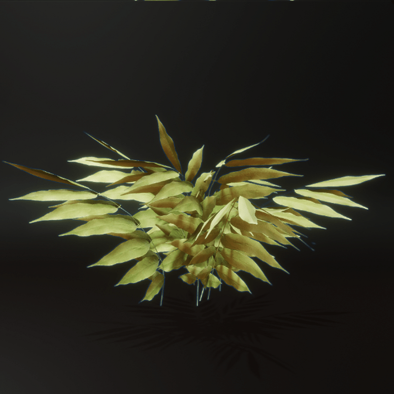 Green Leafed Plant Squat