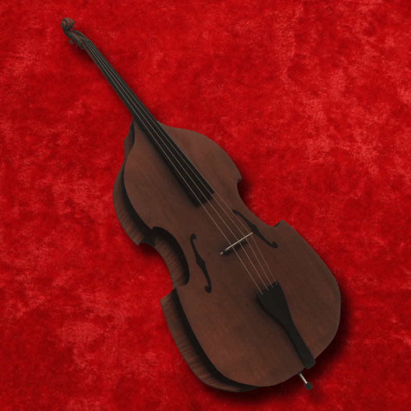 Double Bass