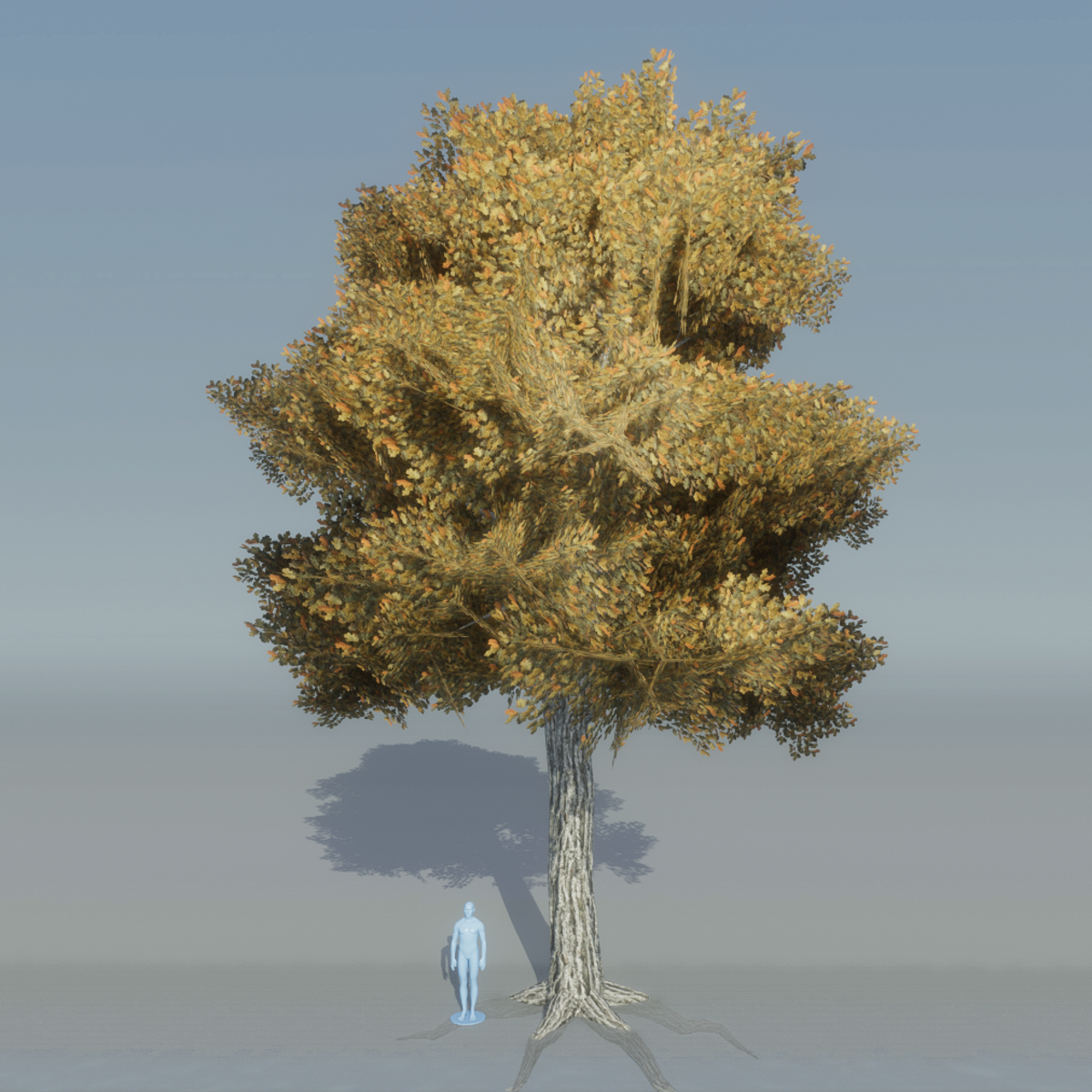 Oak Tree 4 with roots (brown)