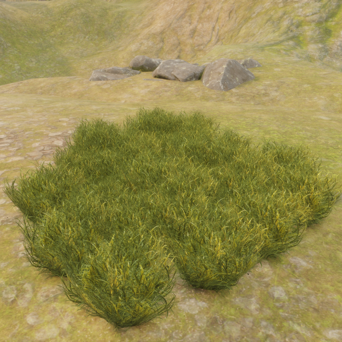 GRASS_CURVE