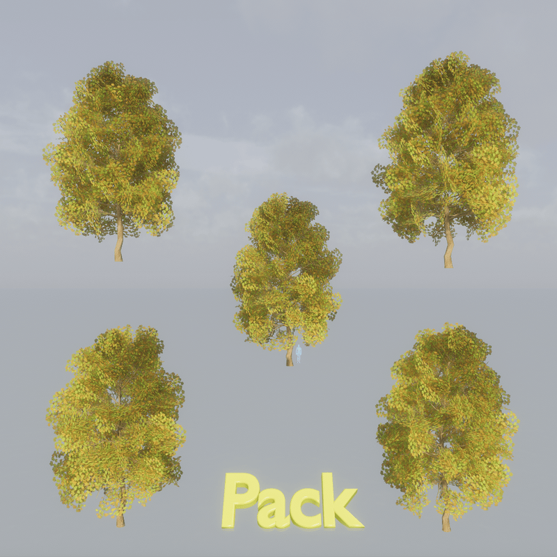 Maple Tree Pack Autumn