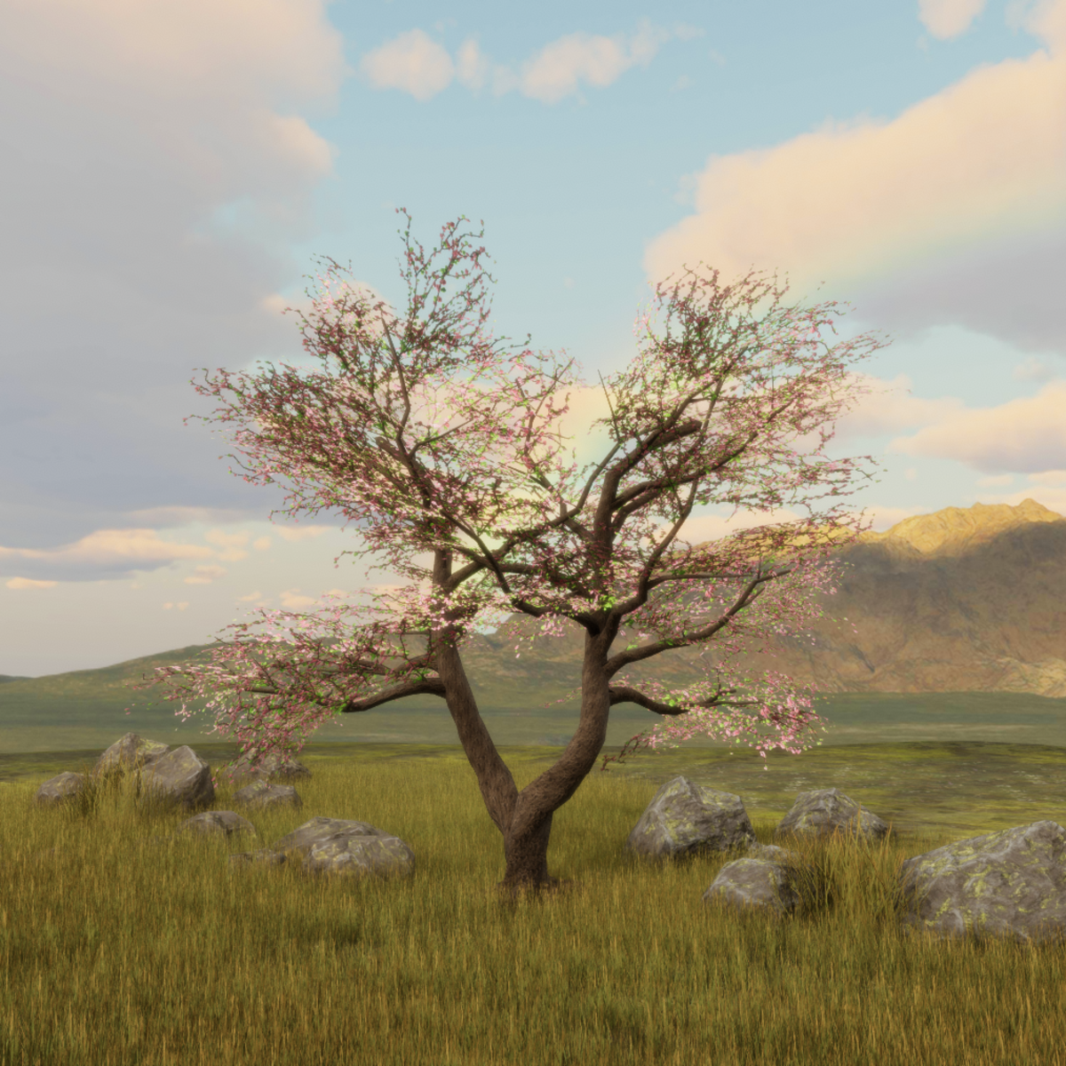 Cherry Blossom Tree 2