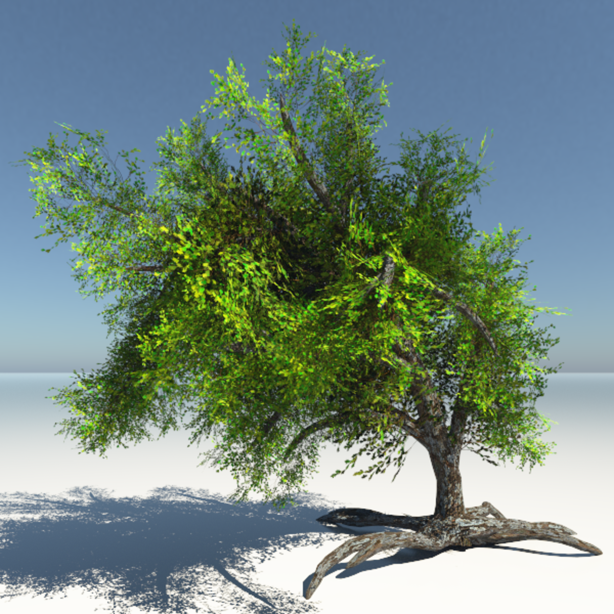 Oak Tree, animated with wind effect