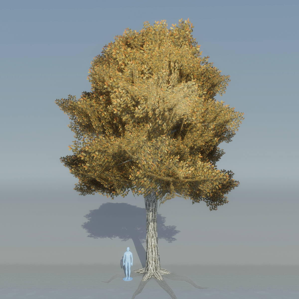 Oak Tree 1 with roots (brown)