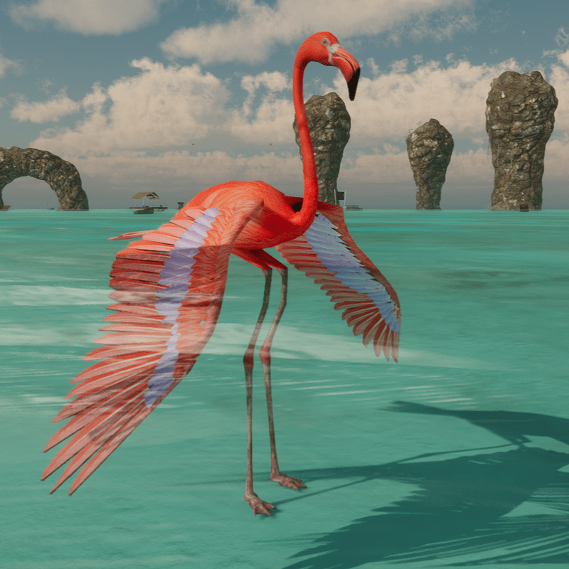 Flamingo Avatar