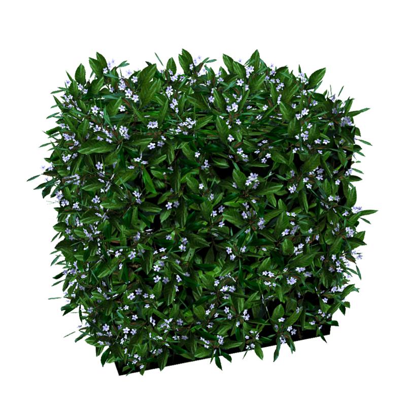 Hedge Small - Lilac Flowers