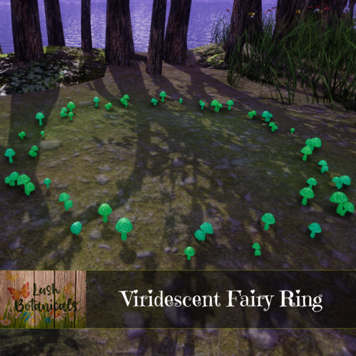 Viridescent Fairy Ring