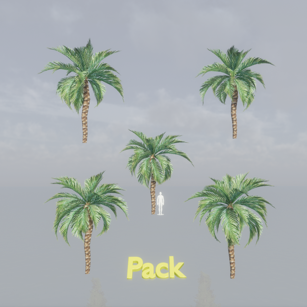 Curly Palm Tree Pack