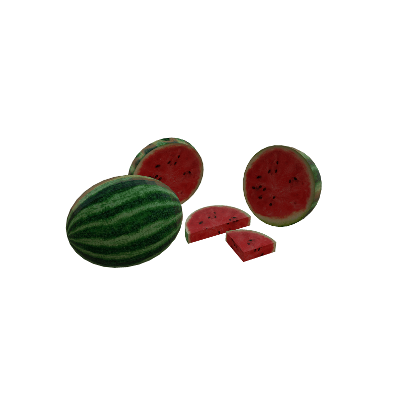 Watermelon Kit
