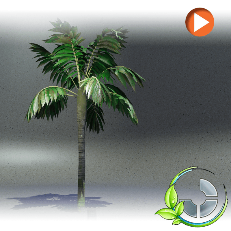 Animated Palm2 (Tropical Style 1)