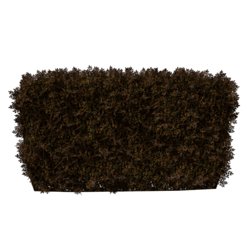 Hedge Straight 4x3 (Dead)