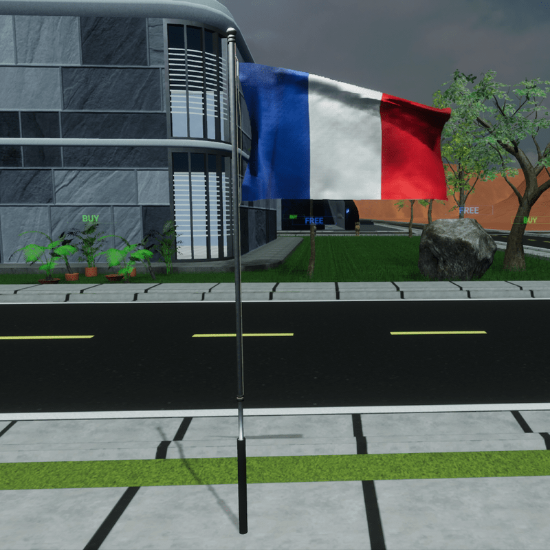 TKA Animate Flag France