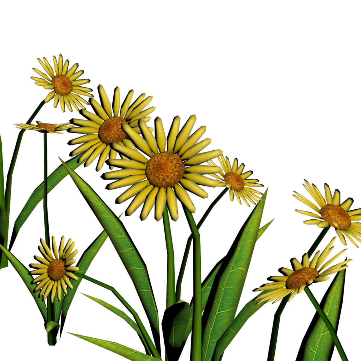 Daisies For Pathways 5