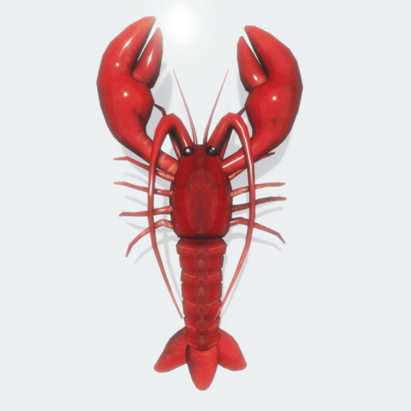Lobster