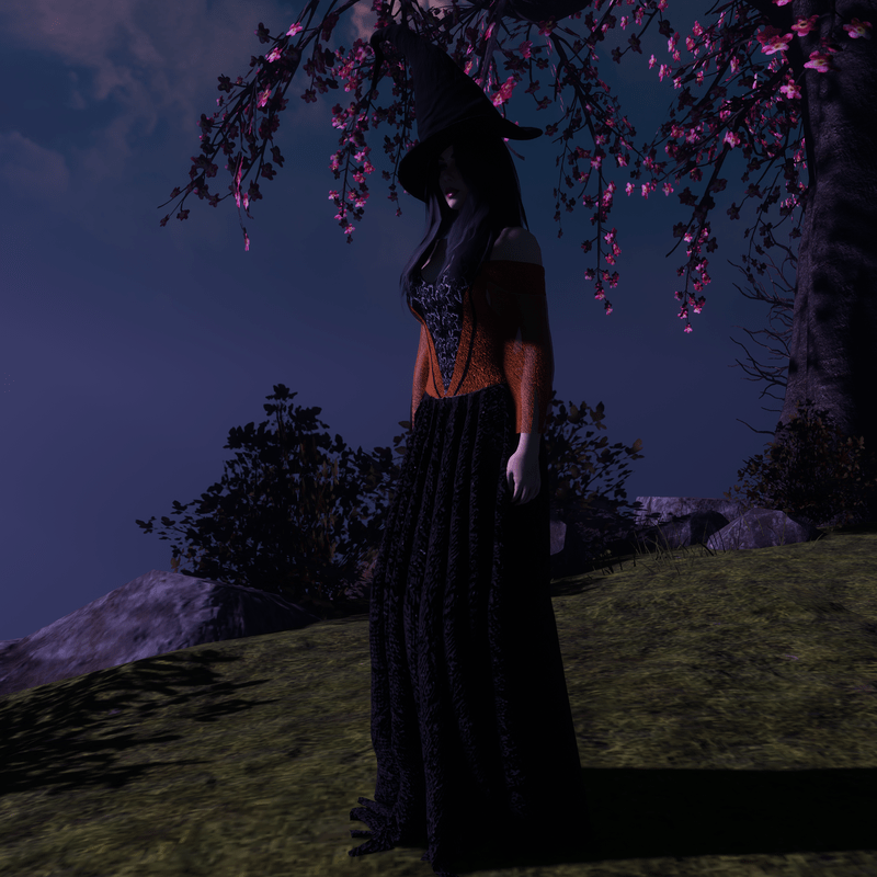 Orange Witch's Costume