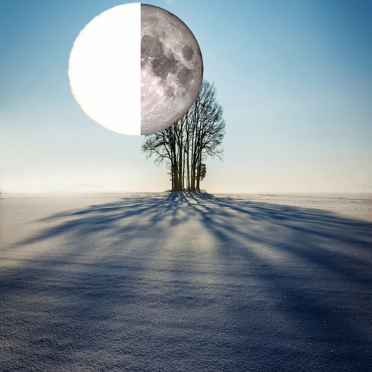 24hr Day Night Cycle (TM)