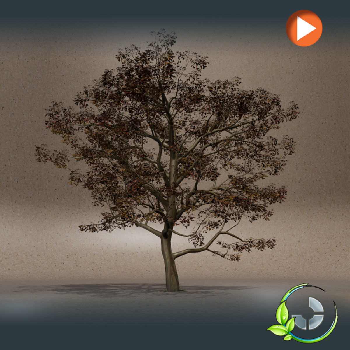 Animated Bigtree-III Autumn