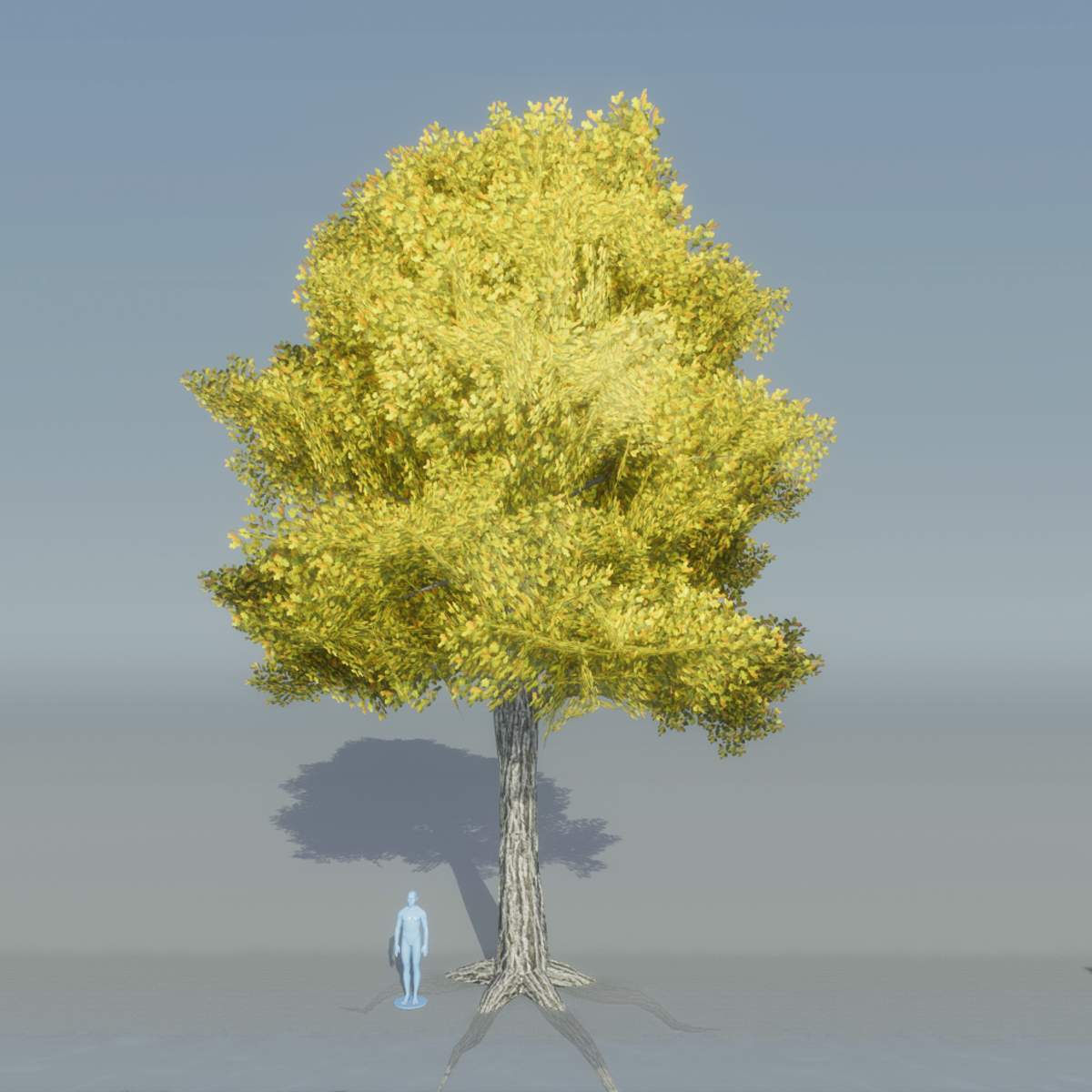 Oak Tree 1 with roots (yellow)