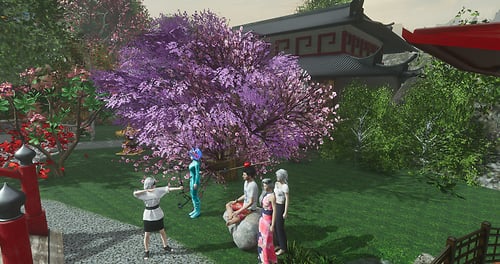 The Samurai Sanctuary