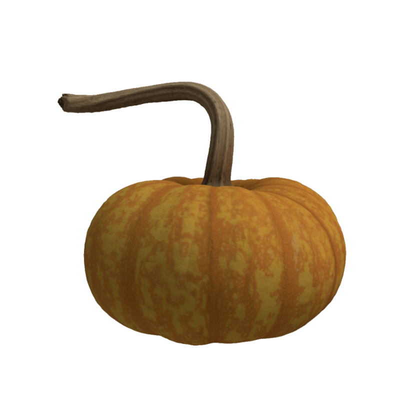 Pumpkin C