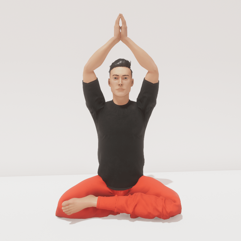 meditation 8 to the sky male